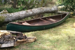 The Greenwood Canoe and the Old Oak Tree
