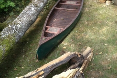 The Greenwood Canoe and the Old Oak Tree