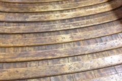 Stripped Canoe Ribs