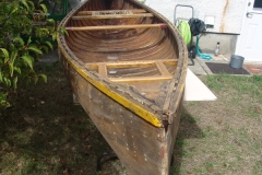 Chestnut Featherweight Canoe
