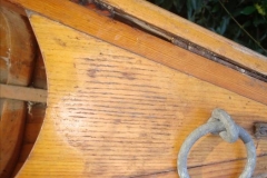 Chestnut Pal Deck and Painter