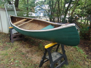 15ft Chestnut Prospector Ranger